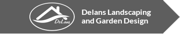 new web logo
